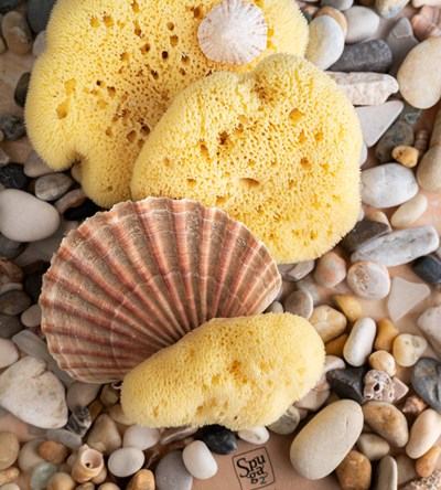 Suveniri od morske spužve